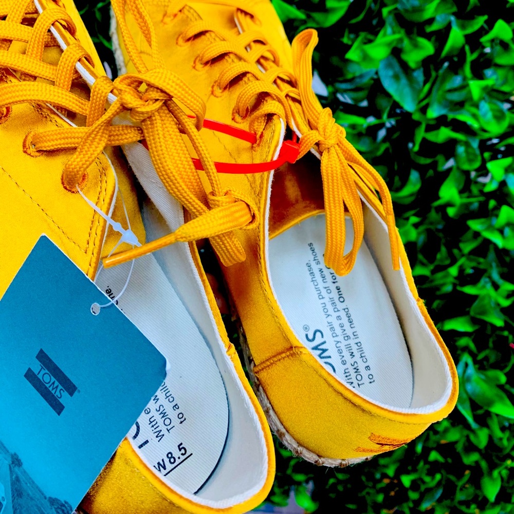 Toms shoes